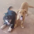 Batman e Robin