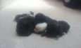 Não definido
