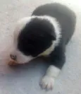 Não definido