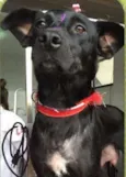 lua