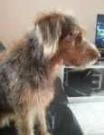não sei