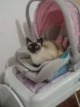 Mia