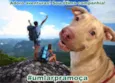 Moça