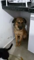 bolinha