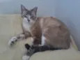 Lilica