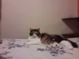 Matilda