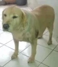 MEG