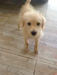 Mel