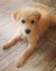 Mel