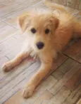 Mel