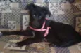 Belinha