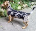 Pepa