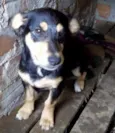 Fiona 