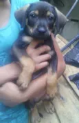 Dudu e Belinha
