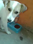 nick