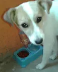 nick