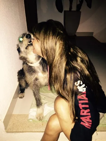 Cachorro ra a SRD idade 3 anos nome José