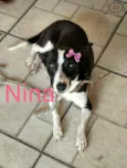 Nina