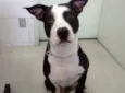 Ze