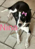 Nina