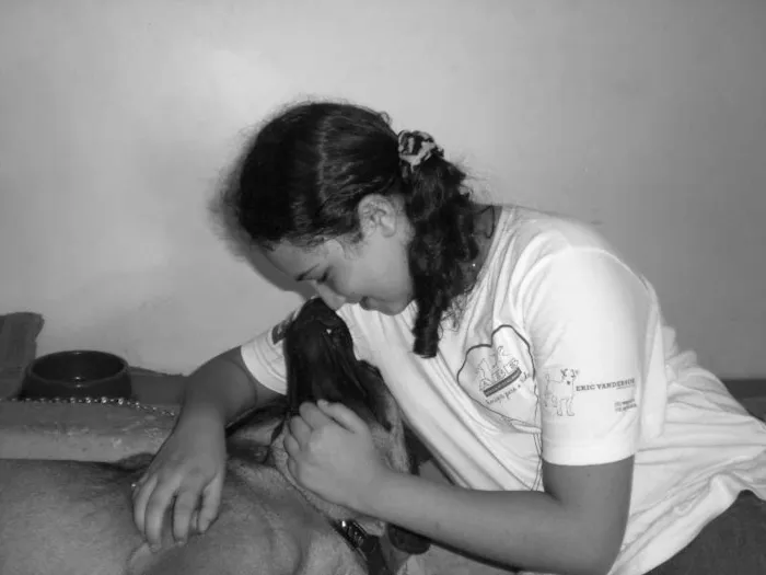 Cachorro raça mestiço rodese idade 2 anos nome PAN