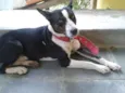 Desconhecido