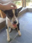 Desconhecido