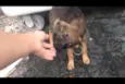 PIPOCA