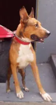 Max