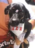 Amélie