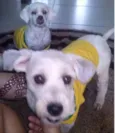 Nina e Lika GRATIFICA