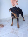 CHORÃO
