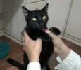 BRÛLÉE