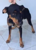 CHORÃO