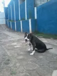 PATÃO
