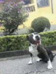 PATÃO