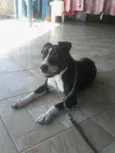 PATÃO