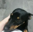 Nina