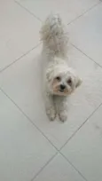 Bob