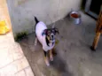 Bolota