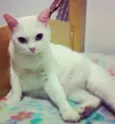 Mimi