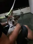 Bartô