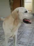 Marley