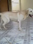 Marley