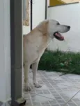 Marley