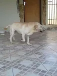 Marley