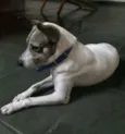 Bartô