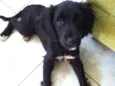 Jully