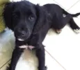 Jully