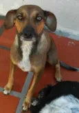 sandy e marley (adu